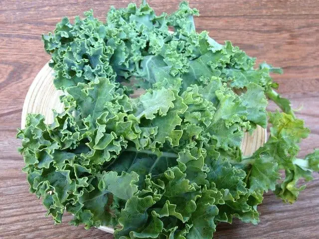Kale Curly 