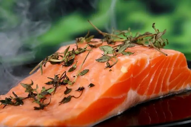 salmon makanan yang mengandung vitamin D
