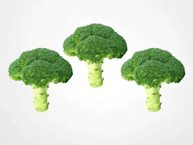 brokoli sayuran hijau