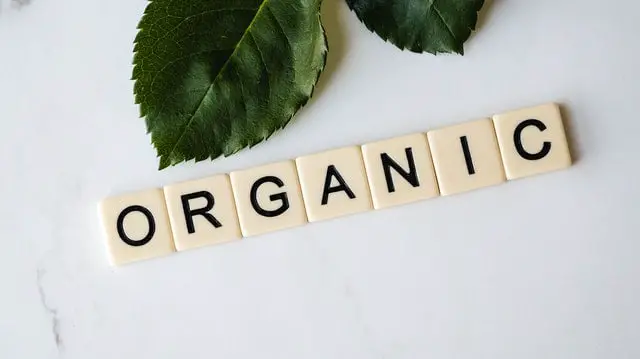konsumsi makanan organik